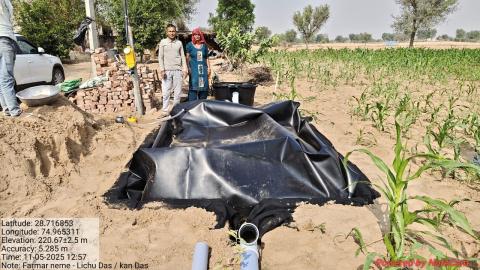 post install photo lichhi - kan